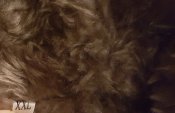 20240226_060138.jpg