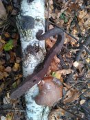 WP_000344.jpg