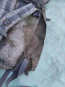 Ранець патрульний "Стрелок" рф