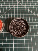 IMG_1381.jpeg