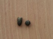 PIC_0006.JPG