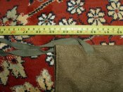 DSCI0348.JPG