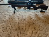 IMG_2643.jpeg