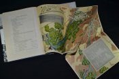 Альбом Олимпиада 1936 года в Германии, 1 том.