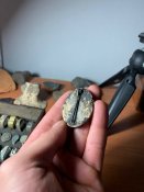 IMG_8795.jpeg