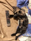 IMG_4779.jpeg