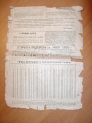 DSC01489.jpg
