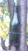 DSC00013.JPG