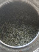 IMG_2073.jpeg