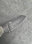 IMG_8608.jpeg