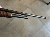 IMG_7130.jpeg