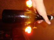 DSC09787.JPG