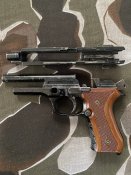 Carizma 22 magnum