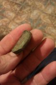 IMAG0859.jpg