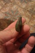 IMAG0860.jpg