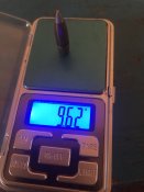 IMG_6986.jpeg