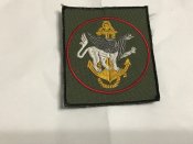Шеврон орковськой морськой піхоти