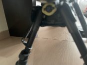 IMG_0680.jpeg