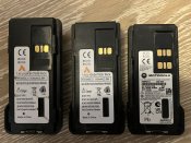 IMG_2106.jpeg