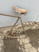 IMG_5831.jpeg