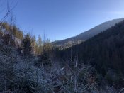 IMG_9228.JPG