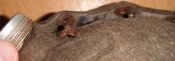 DSC05403.JPG