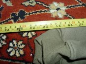 DSCI0555.JPG
