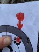 IMG_5473.jpeg