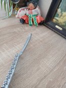 2Г#12 Для чищення риби нова виробництва Germany