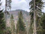 IMG_9637.JPG