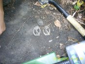 PIC_0006.JPG