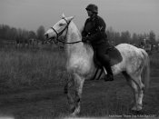 dsc_8100-qpr.jpg