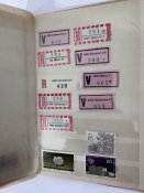 IMG_6385.jpeg