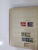 IMG_6386.jpeg