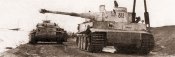 t200.jpg