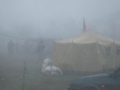 Изменение размера DSCF0242.JPG