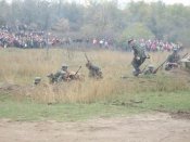 Изменение размера DSCF0303.JPG