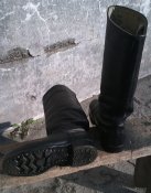 IMAG0040.jpg