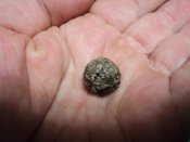 DSC00715.JPG