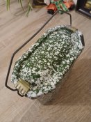 2Д# Котелок старовинний 3х составний виробництва Франціі +бонуси.
