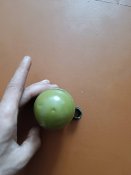 Ргд 5