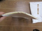 IMG_1465.JPG