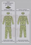 _ПВ КГБ рис.2 (v.2).jpg.jpg