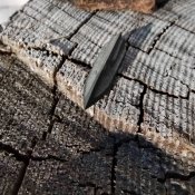Вістря скіфи #о1