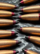 ММГ 7.62х54 Б32гс в лоте 20шт не Стр (2 шт.)