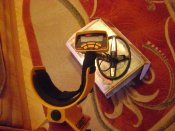 DSC05552.JPG