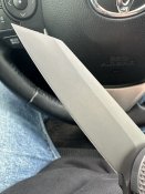 IMG_1335.jpeg