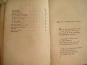 DSC08799.JPG