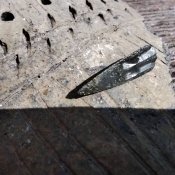 Вістря скіфи три різні тамги