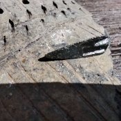 Вістря скіфи три різні тамги
